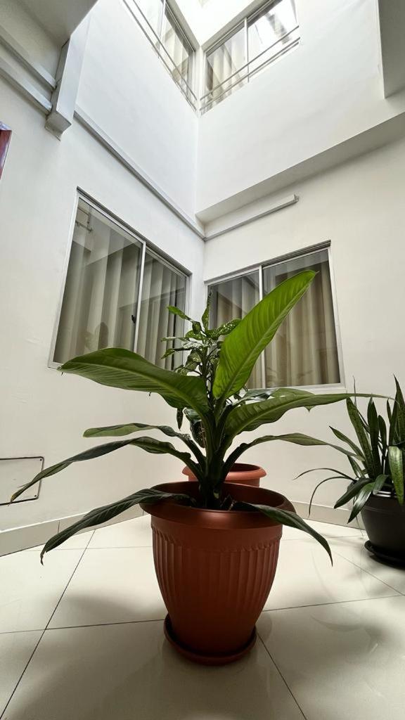 Fitzcarrald Hotel Iquitos Zewnętrze zdjęcie